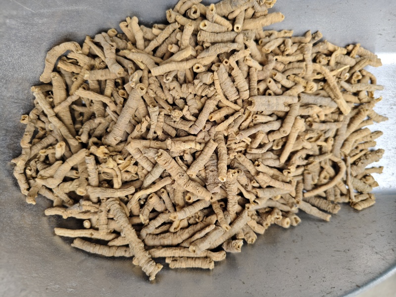 远志新货抽芯远志筒规格齐全批发零售