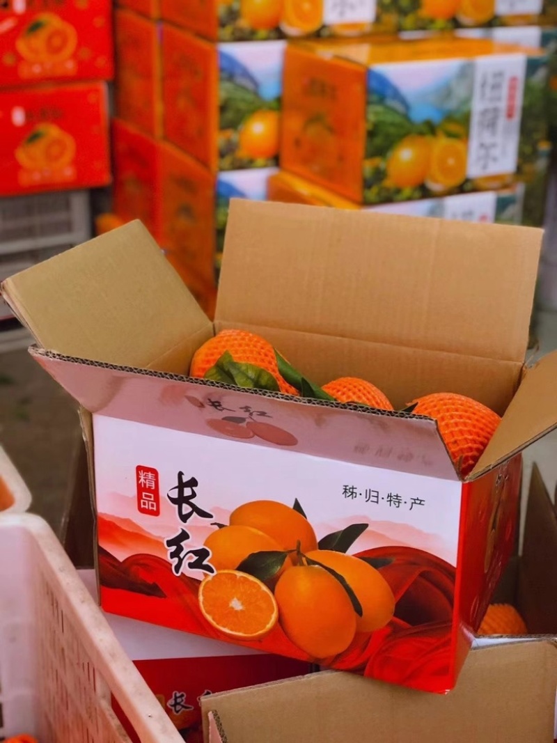 纽荷尔。果大皮薄，水分足。