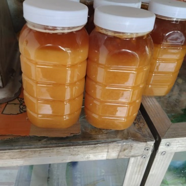 高山蜂蜜