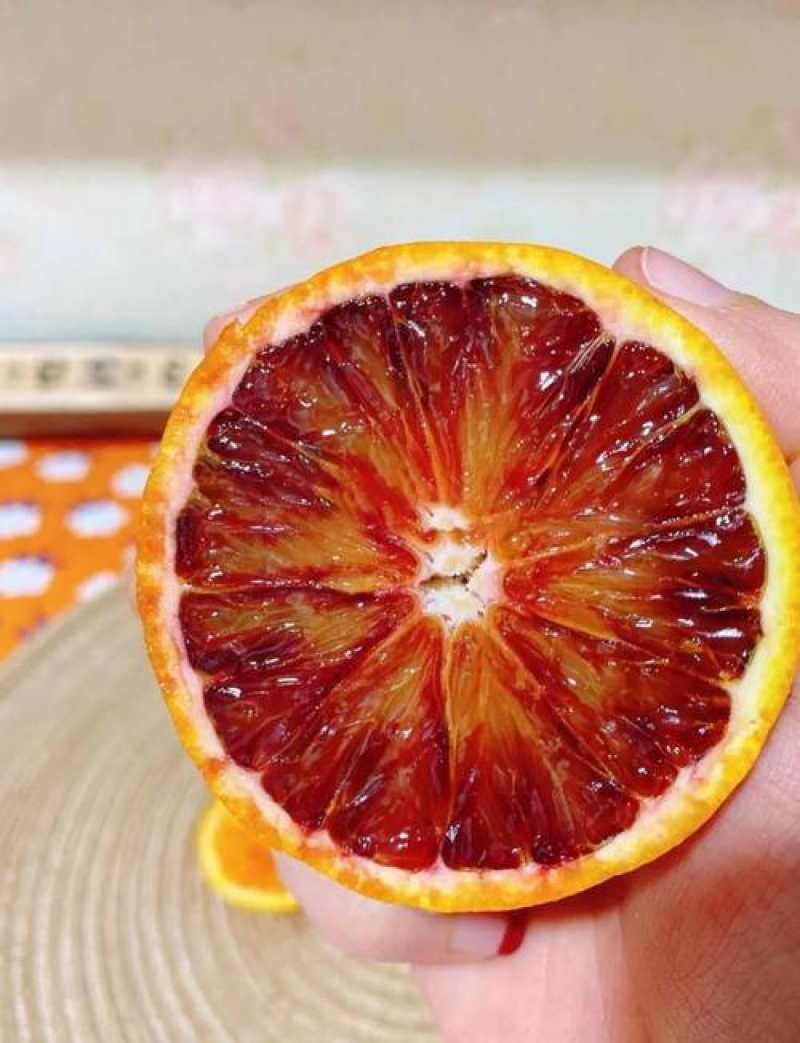 塔罗科血橙中华红核心产区直供规格齐全欢迎来电咨询