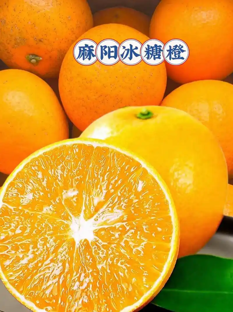 湖南怀化冰糖橙批发果形圆润甜度高产地直供欢迎咨询合作