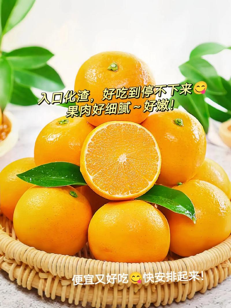 湖南怀化冰糖橙批发果形圆润甜度高产地直供欢迎咨询合作