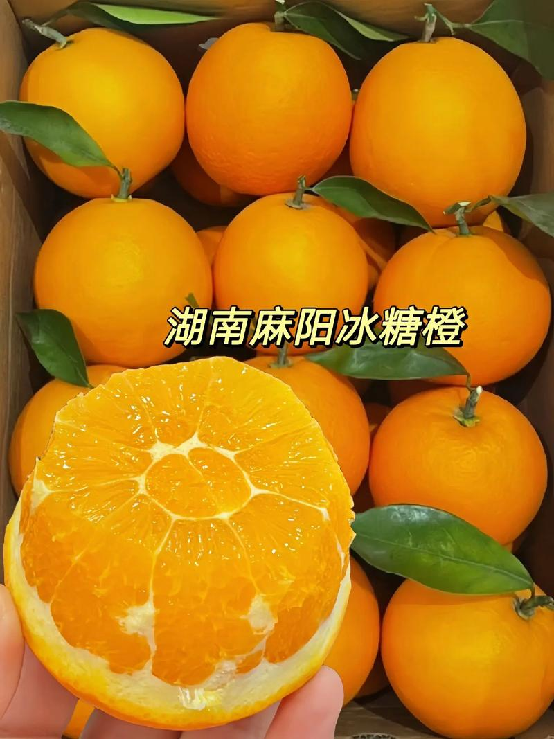 湖南怀化冰糖橙批发果形圆润甜度高产地直供欢迎咨询合作