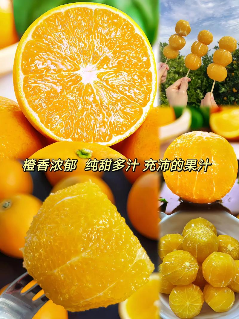 湖南怀化冰糖橙批发果形圆润甜度高产地直供欢迎咨询合作