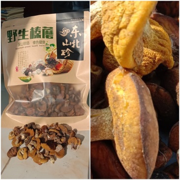 秋厚板松蘑(无虫实心)品质自然干500克\袋