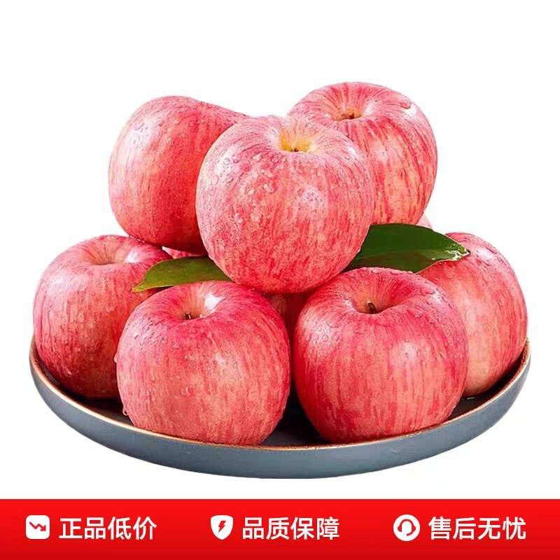 甘肃红富士苹果，产地直发，诚信经营，保质保量大量有货