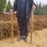 河南安阳双棒山药大量接单品质保证量大从优欢迎来电