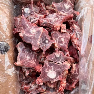 满肉羊蝎子