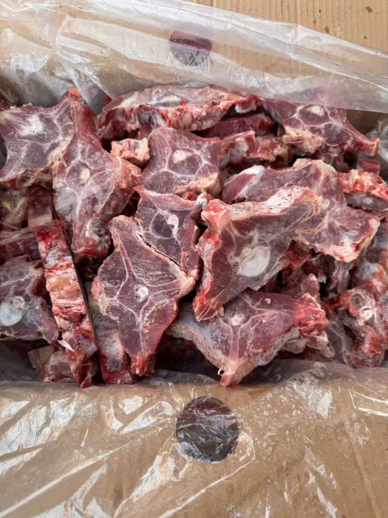 满肉羊蝎子
