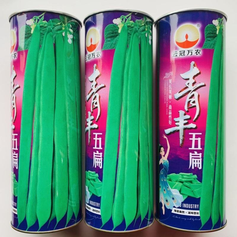 青丰五扁架豆种子早熟绿扁架豆种子嫩荚肉厚鲜嫩无筋糯爽春秋