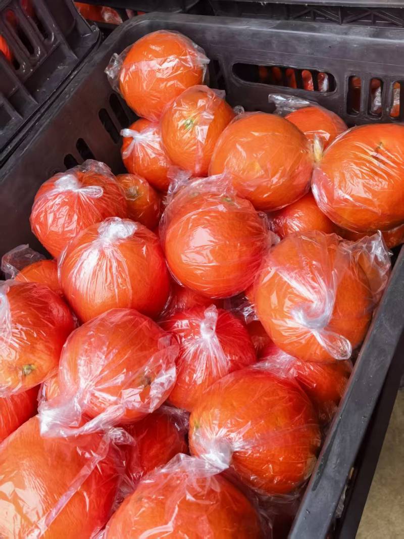 湖南湘西橙子纽荷尔脐橙，颜色火红，口感香甜可口，汁水充足