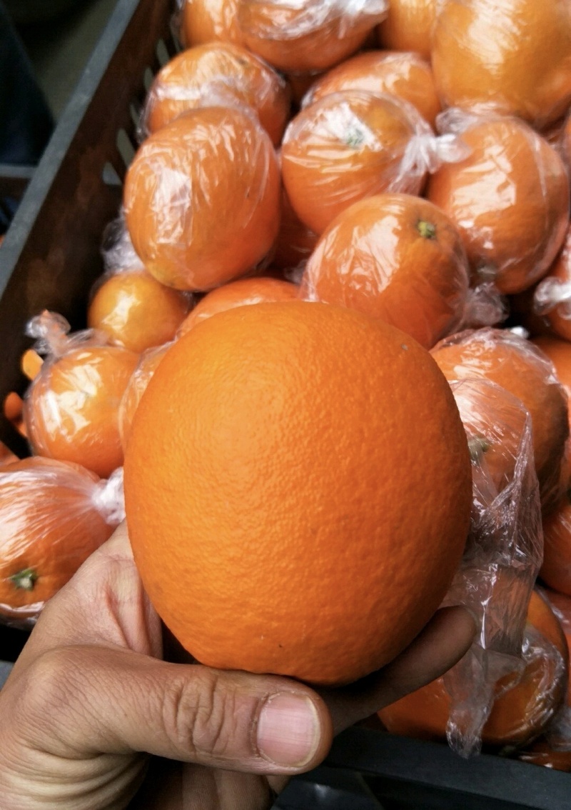 湖南湘西橙子纽荷尔脐橙，颜色火红，口感香甜可口，汁水充足