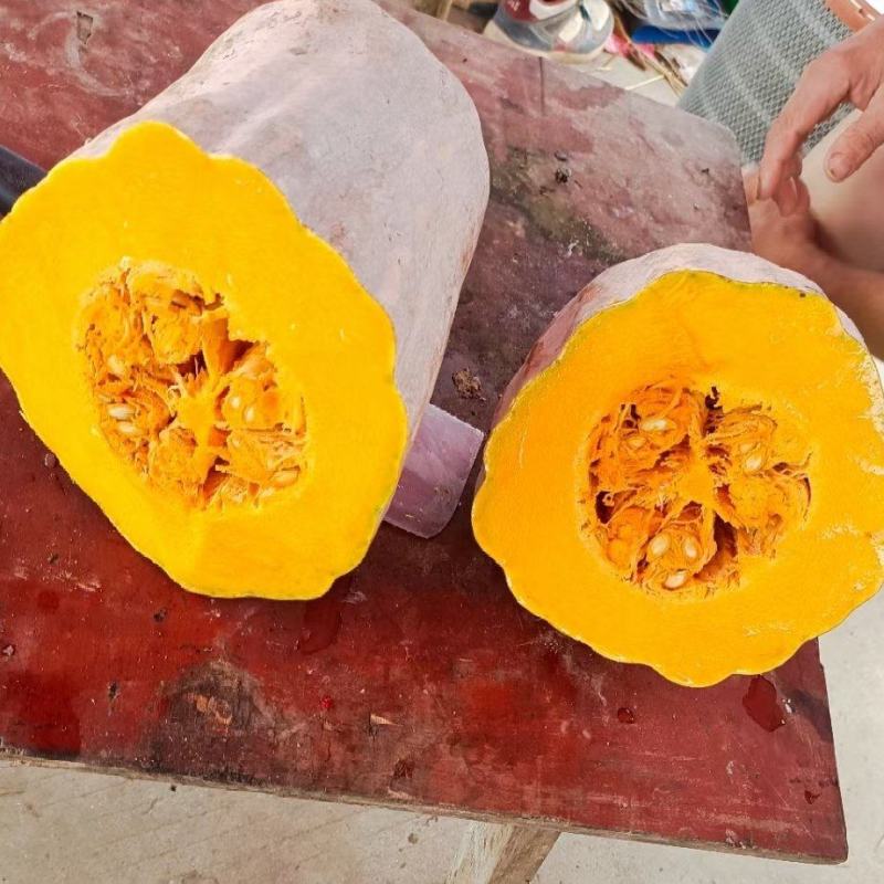 老南瓜现货量大质量有保证