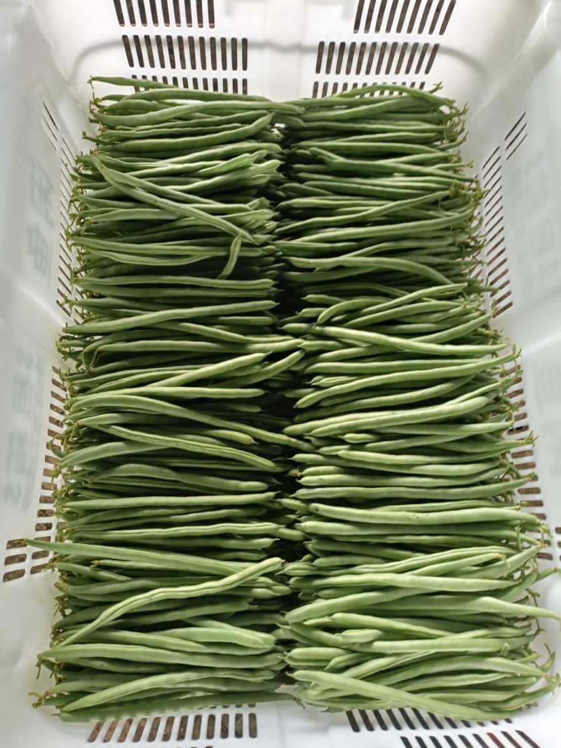 小金豆