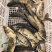 花白鲢鱼皮毛好