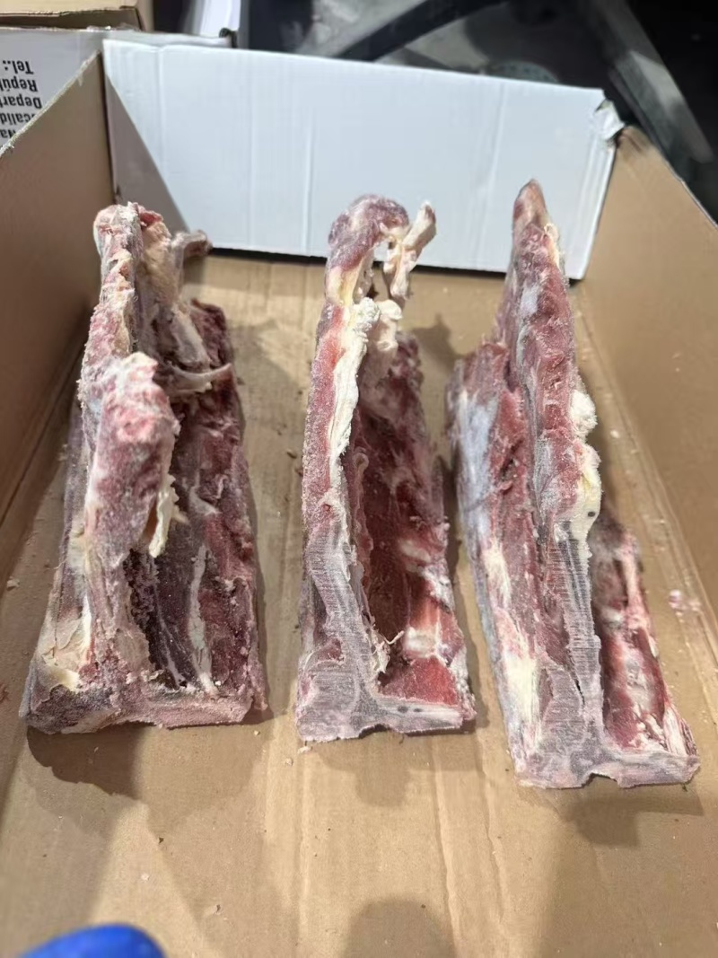 多肉牛腰椎骨