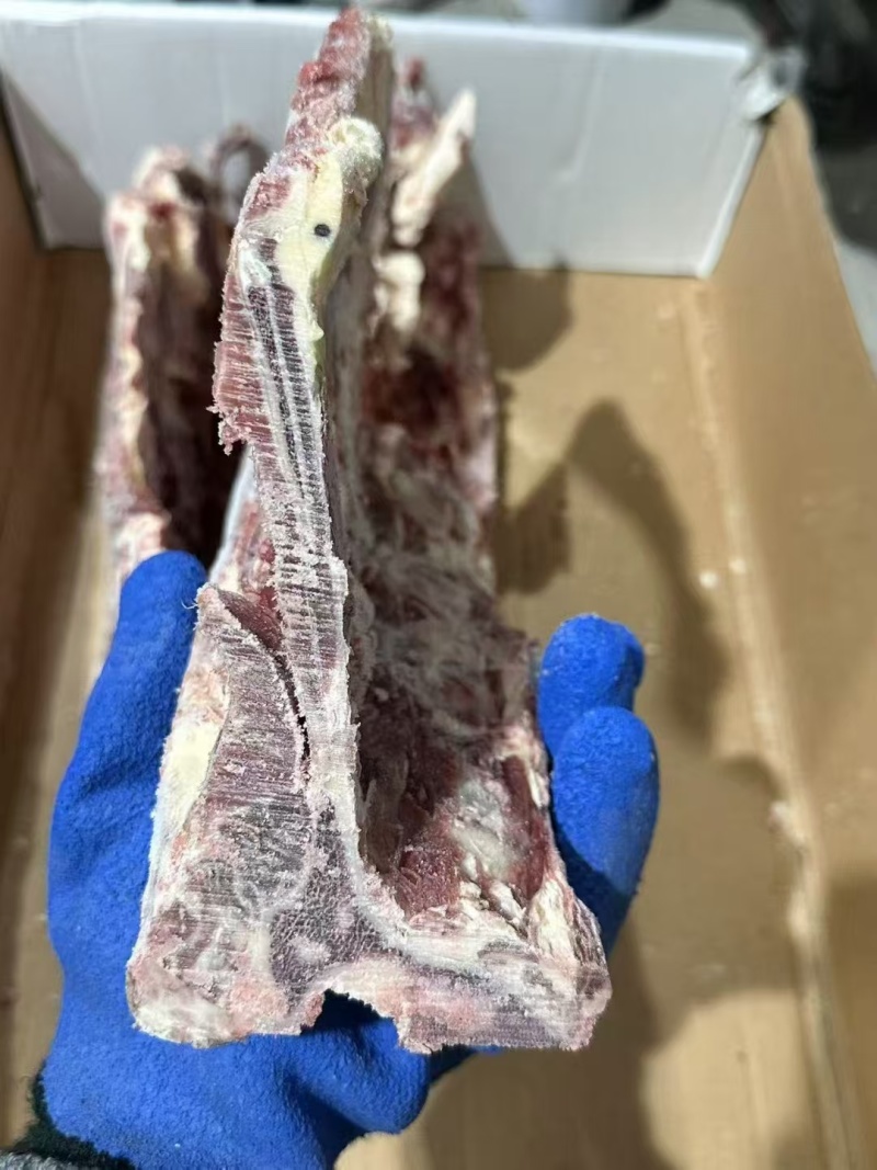 多肉牛腰椎骨
