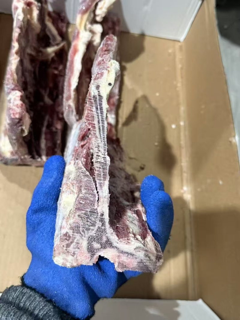 多肉牛腰椎骨