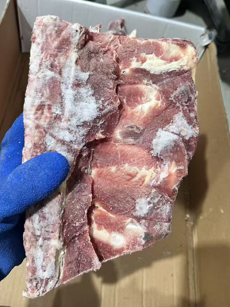 多肉牛腰椎骨