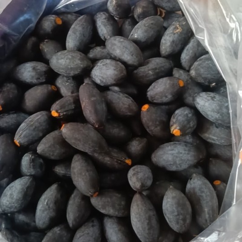 广西特产榄子榄角干榄角下饭菜咸菜