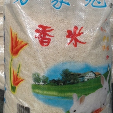 大米