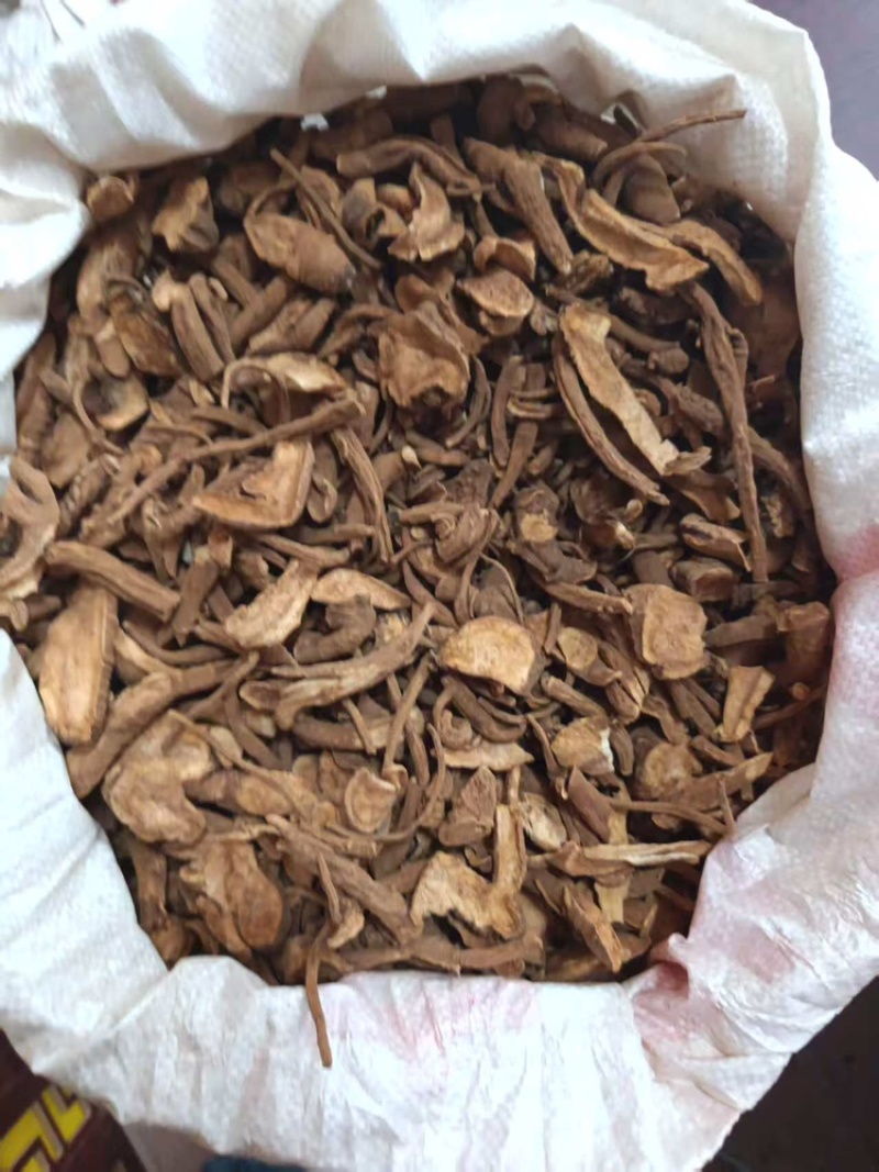 当归、云南云当归大量有货，量大价格从优，可视频看货