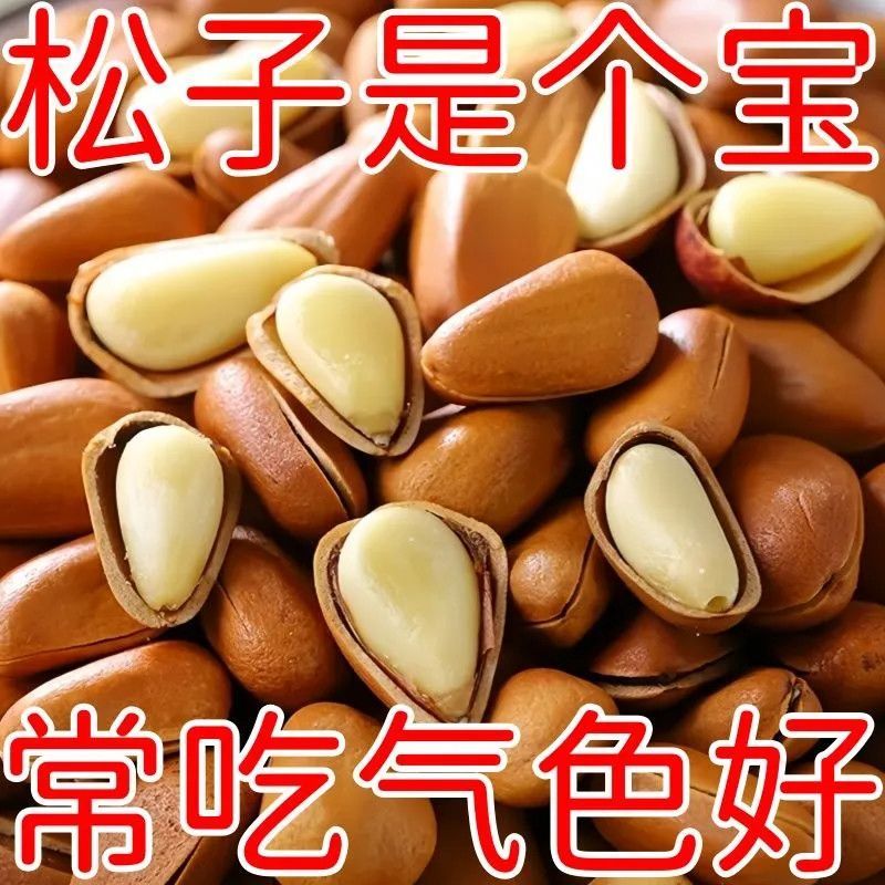 松子东北松接代发批发