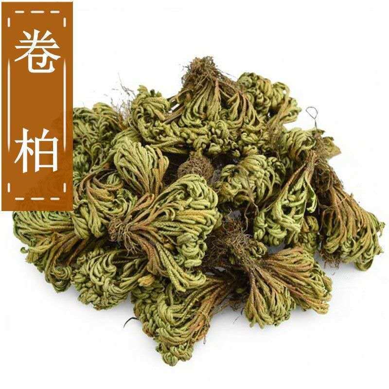 卷柏中药材九死还魂草小卷柏还魂草长生草新货