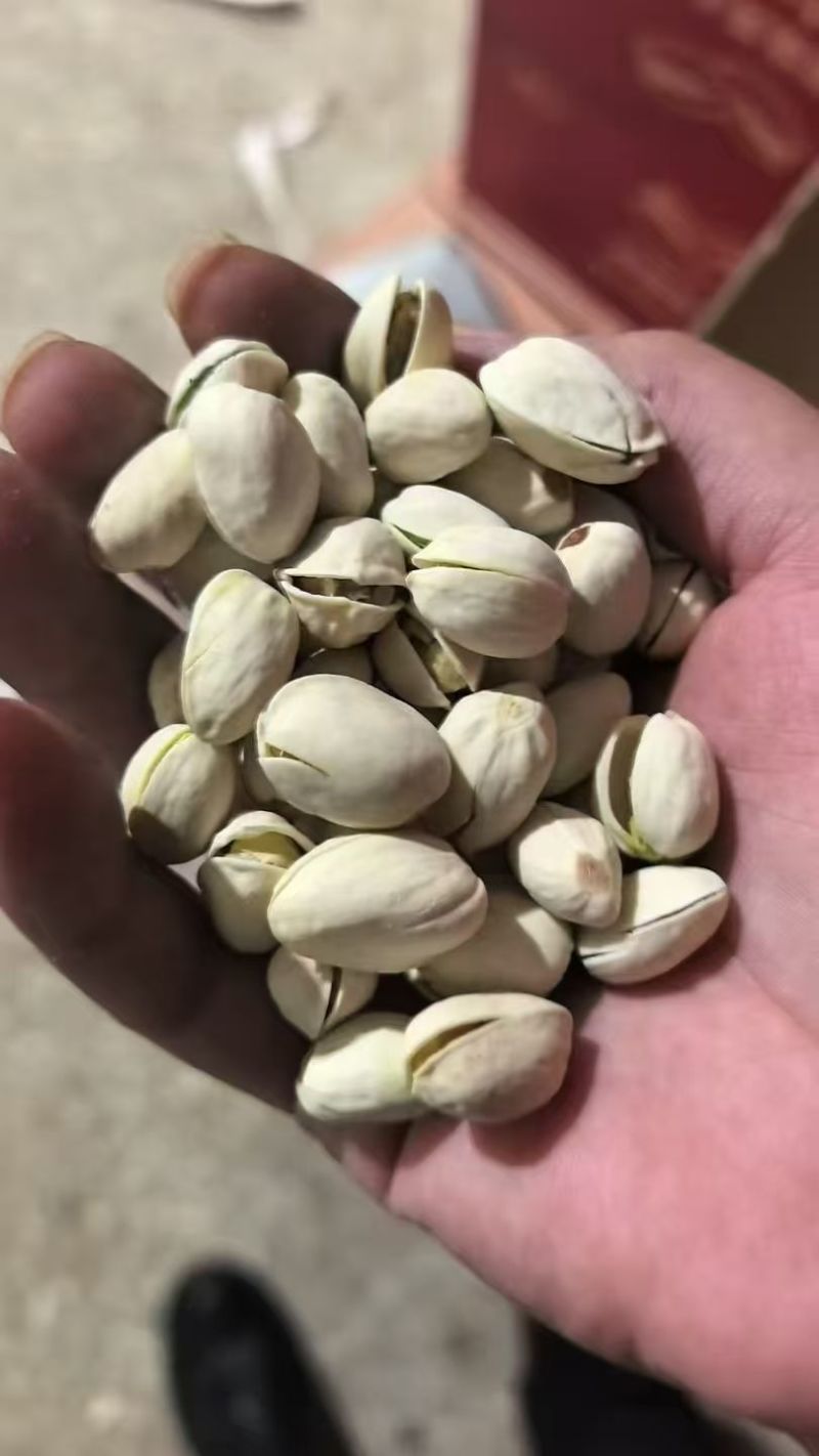 开心果也有货