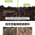 纯植物草木灰有机肥钾肥天然植物燃烧调理土壤