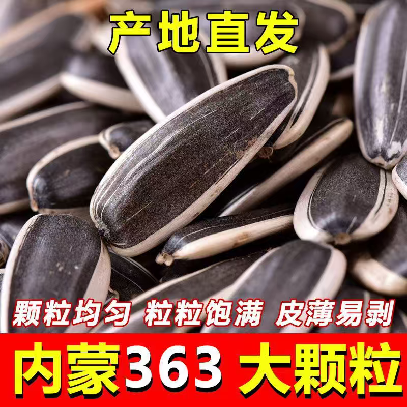363葵花子内蒙古赤峰