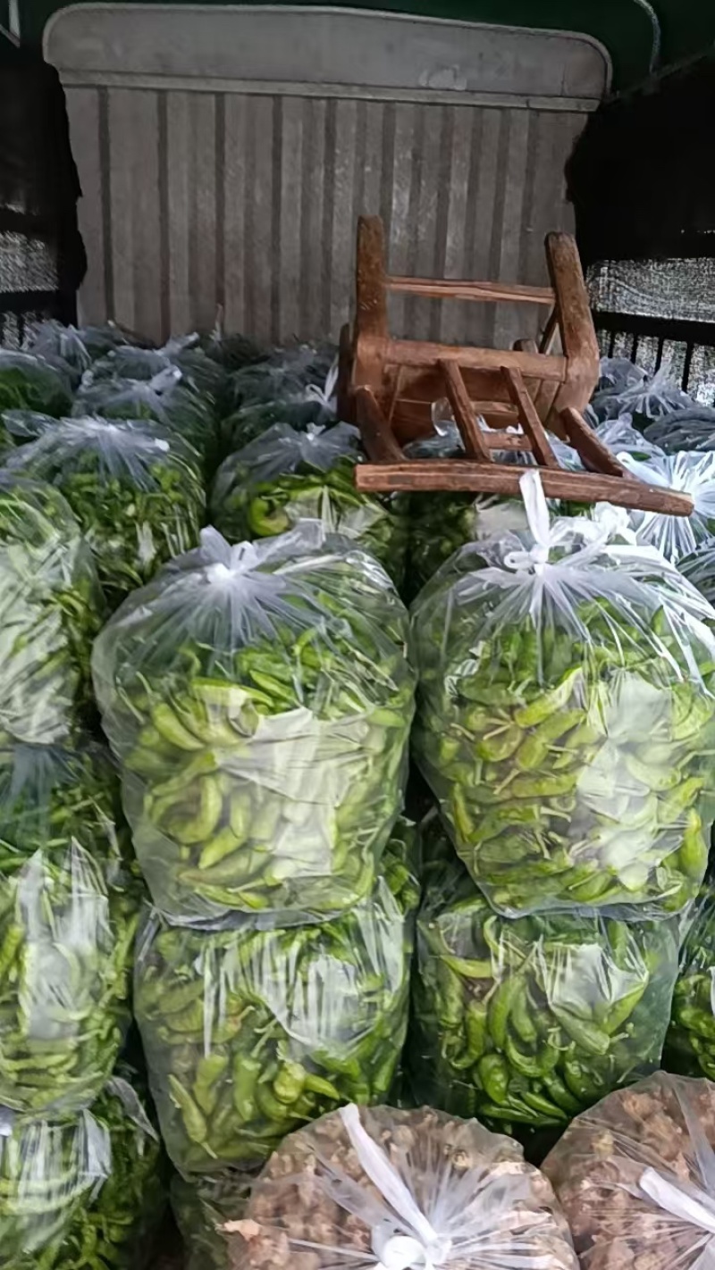 【推荐】荆州本地土辣椒供应市场商超电商一手货源量大从优