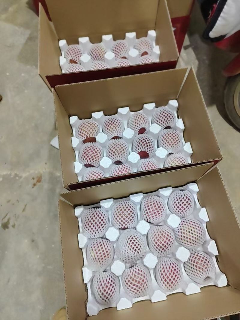 云南昭通晚熟糖心丑苹果现摘现发，规格齐全，视频看货