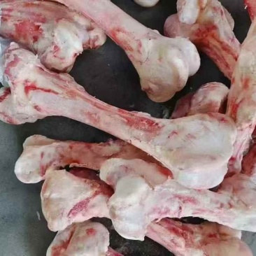 牛棒骨