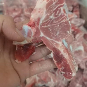 满肉龙骨块
