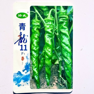 青龙11无限生长型绿色顺直长果型陇椒种子螺旋早中熟钝尖辣