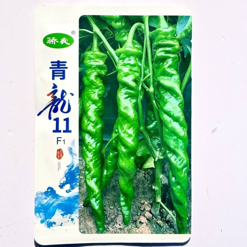 青龙11无限生长型绿色顺直长果型陇椒种子螺旋早中熟钝尖辣