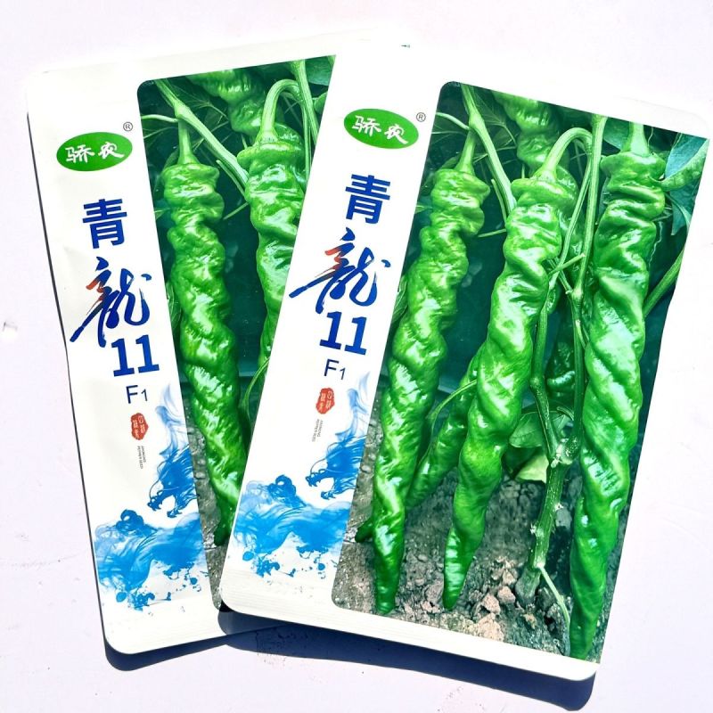 青龙11无限生长型绿色顺直长果型陇椒种子螺旋早中熟钝尖辣