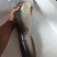 大口鲶鱼