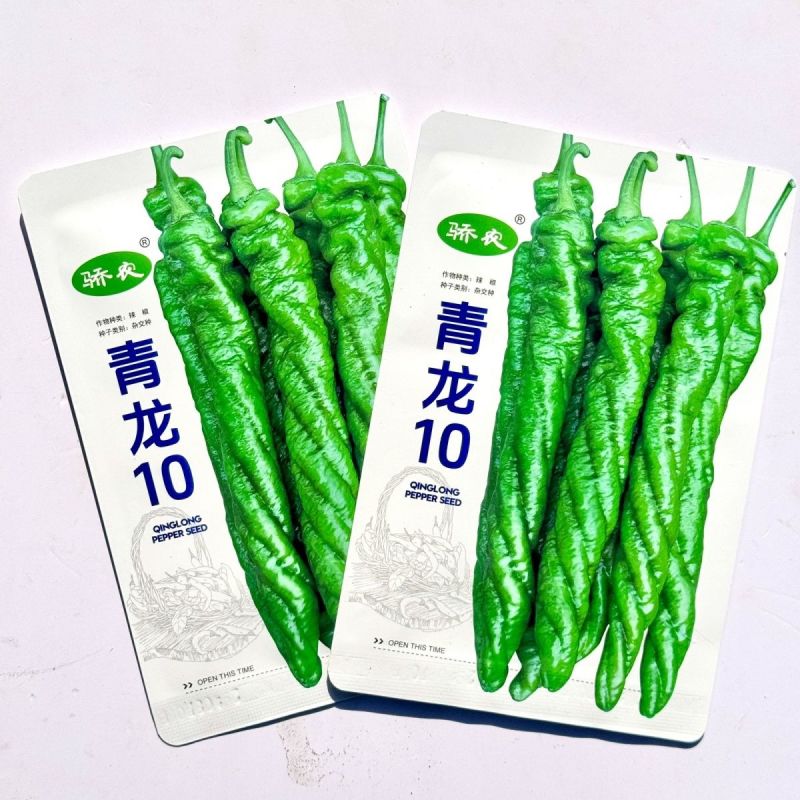 青龙10无限生长绿色大果型陇椒种子早中熟半麻面钝尖螺丝辣