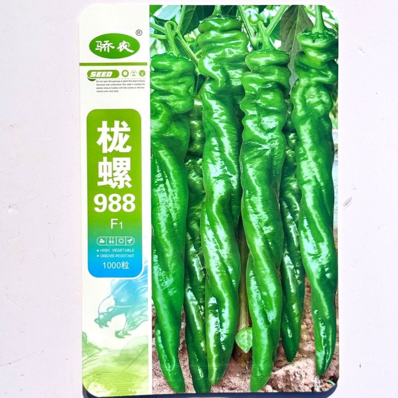 栊螺988早熟陇椒型螺丝椒种子长果型高产抗病脆辣薄皮螺丝