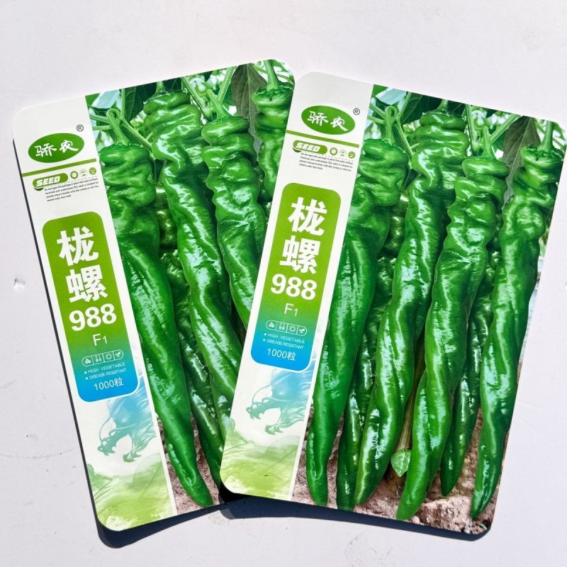 栊螺988早熟陇椒型螺丝椒种子长果型高产抗病脆辣薄皮螺丝