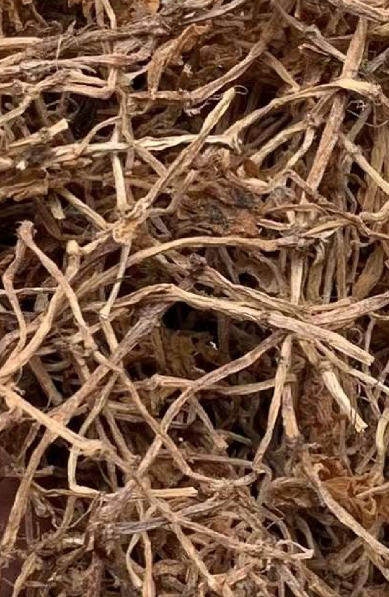 垂盆草实物拍摄诚信经营售后无忧