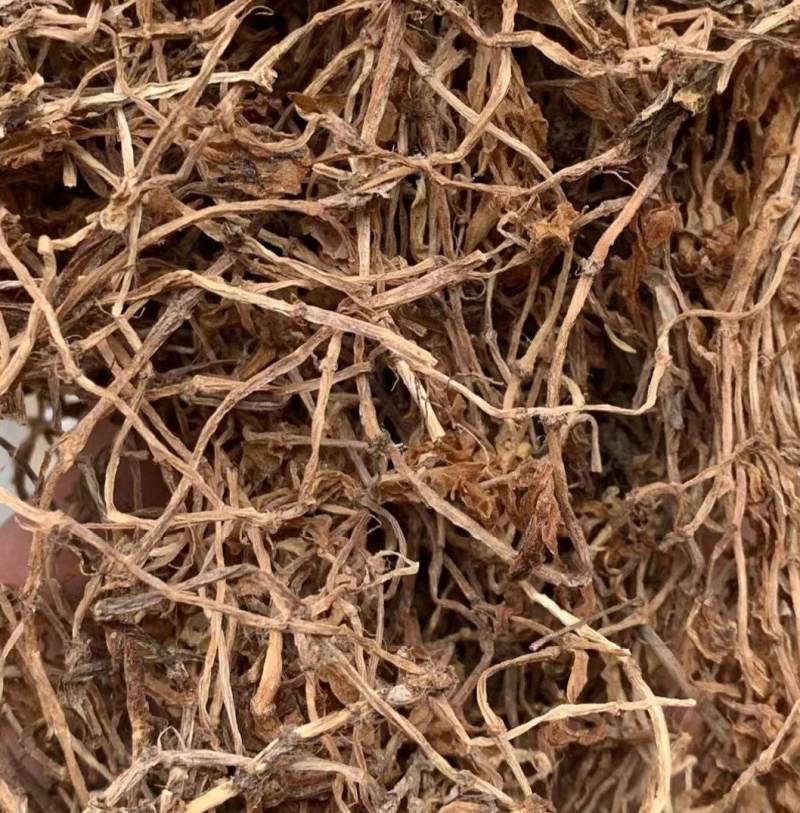 垂盆草实物拍摄诚信经营售后无忧