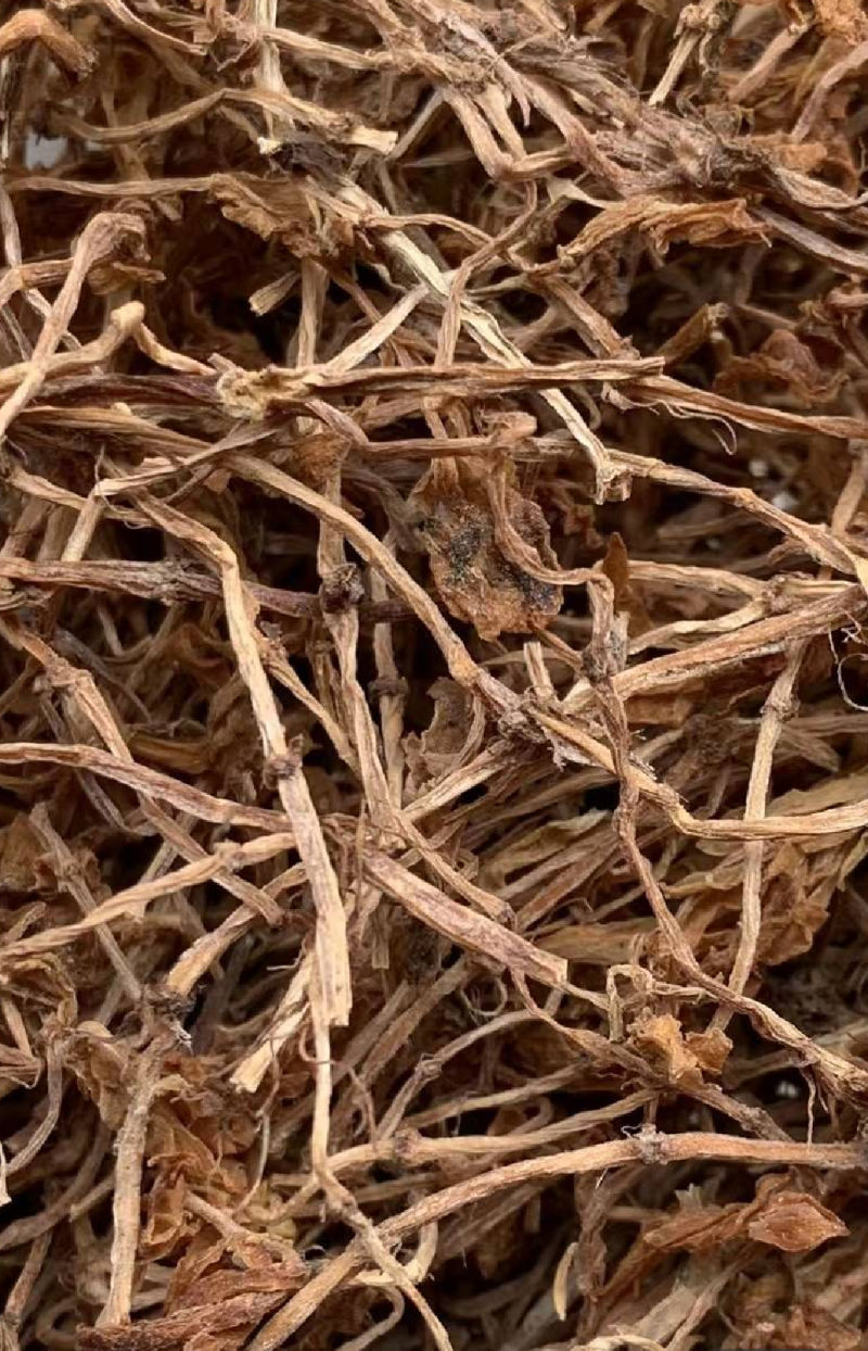 垂盆草实物拍摄诚信经营售后无忧