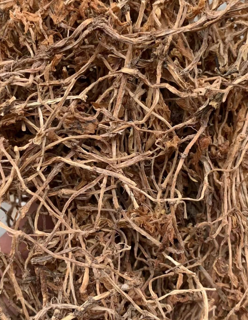 垂盆草实物拍摄诚信经营售后无忧