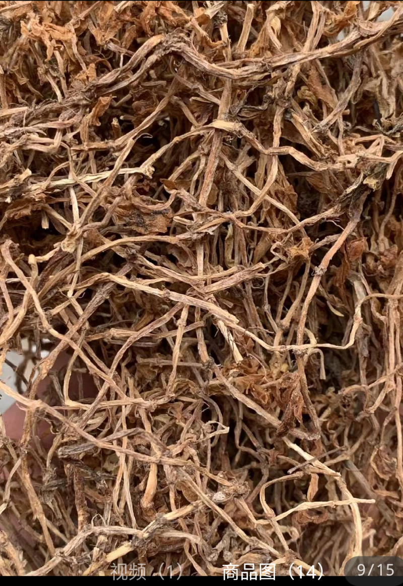 垂盆草实物拍摄诚信经营售后无忧