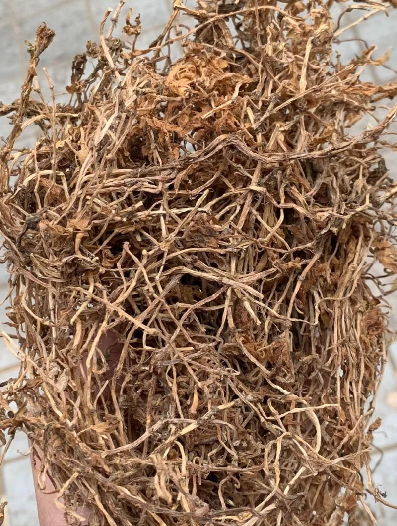 垂盆草实物拍摄诚信经营售后无忧