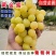黄金蜜葡萄树苗，基地直发保证品种质量成活结果不对版全退款