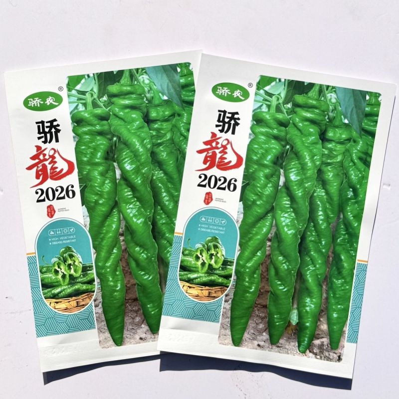 骄龙2026无限生长绿色大果陇椒种子中早熟半麻面钝尖高产